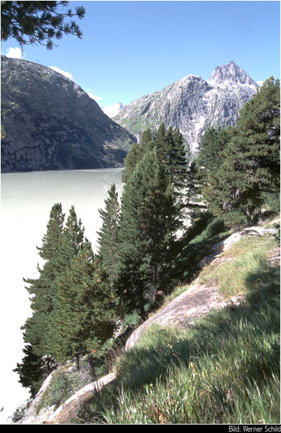 Sunnig Aar. Bild: Werner Schild