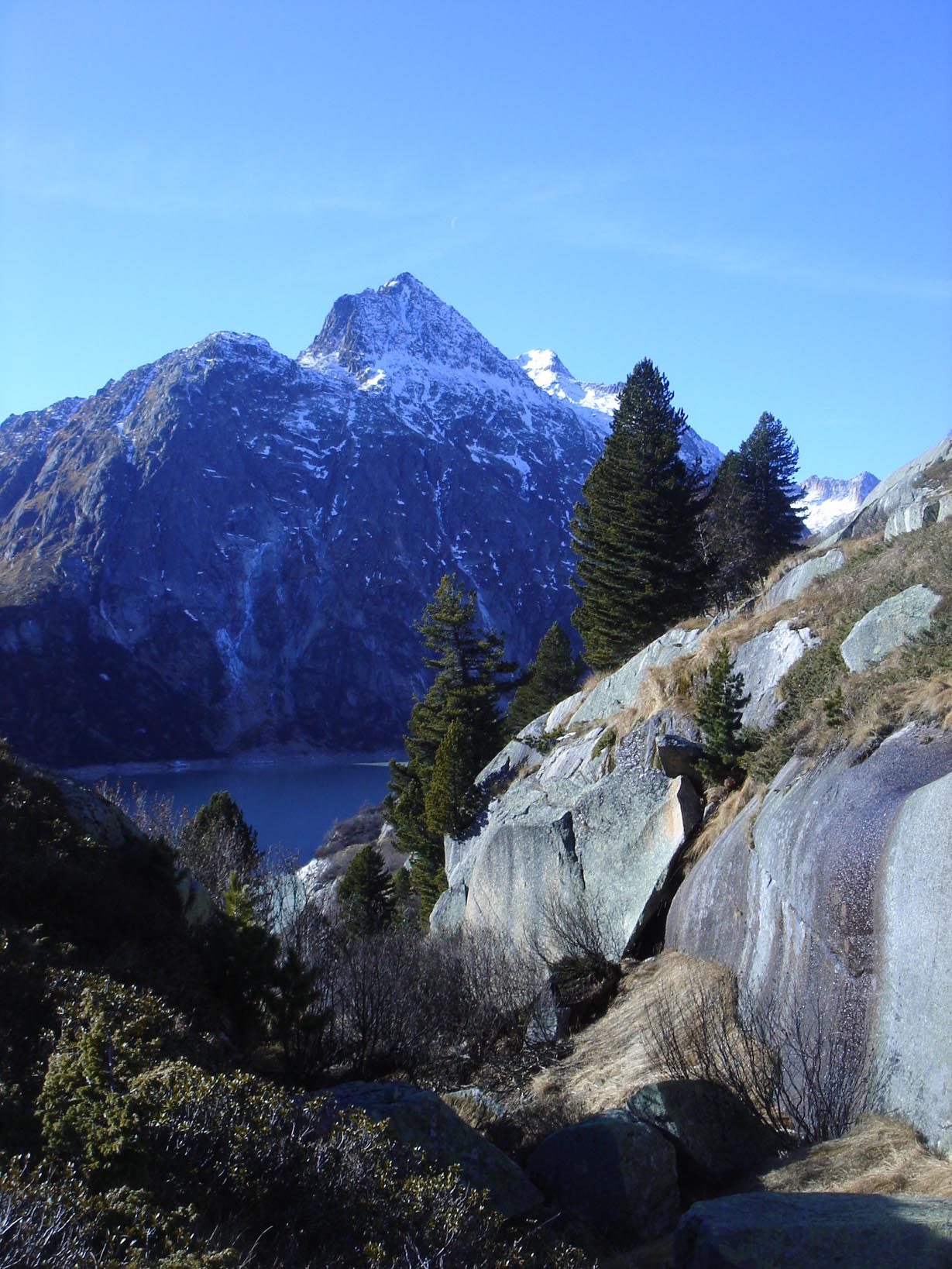 'Sunnig Aar' von Katharina von Steiger